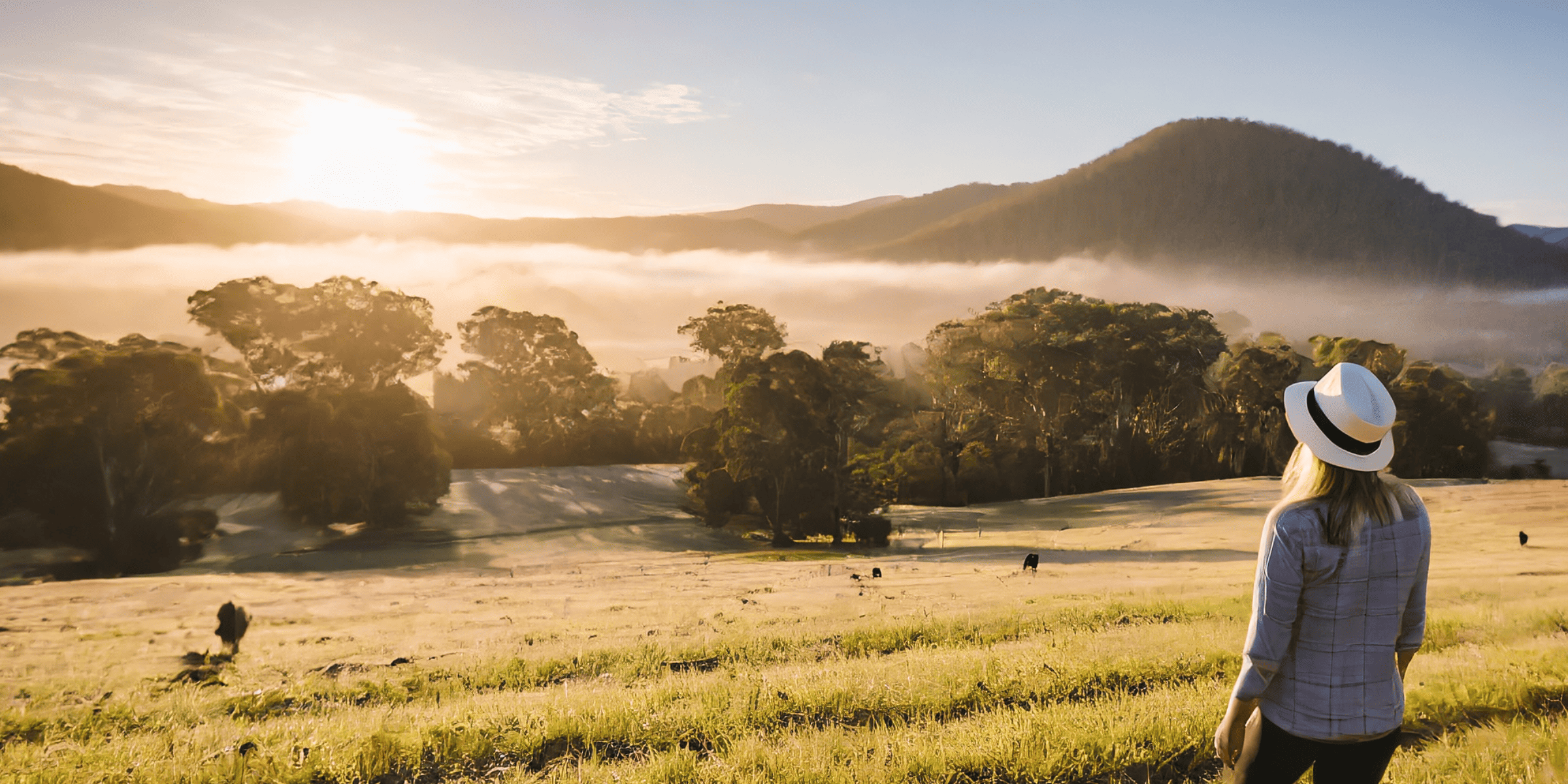 Untitled design (17)